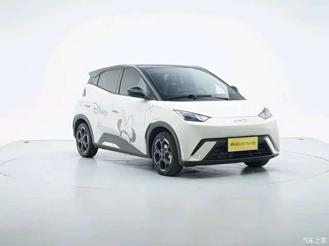 BYD Seagull, 2024 6