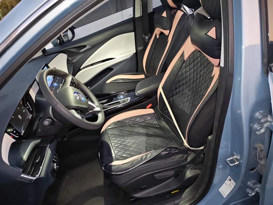 Buick Slightly blue 6