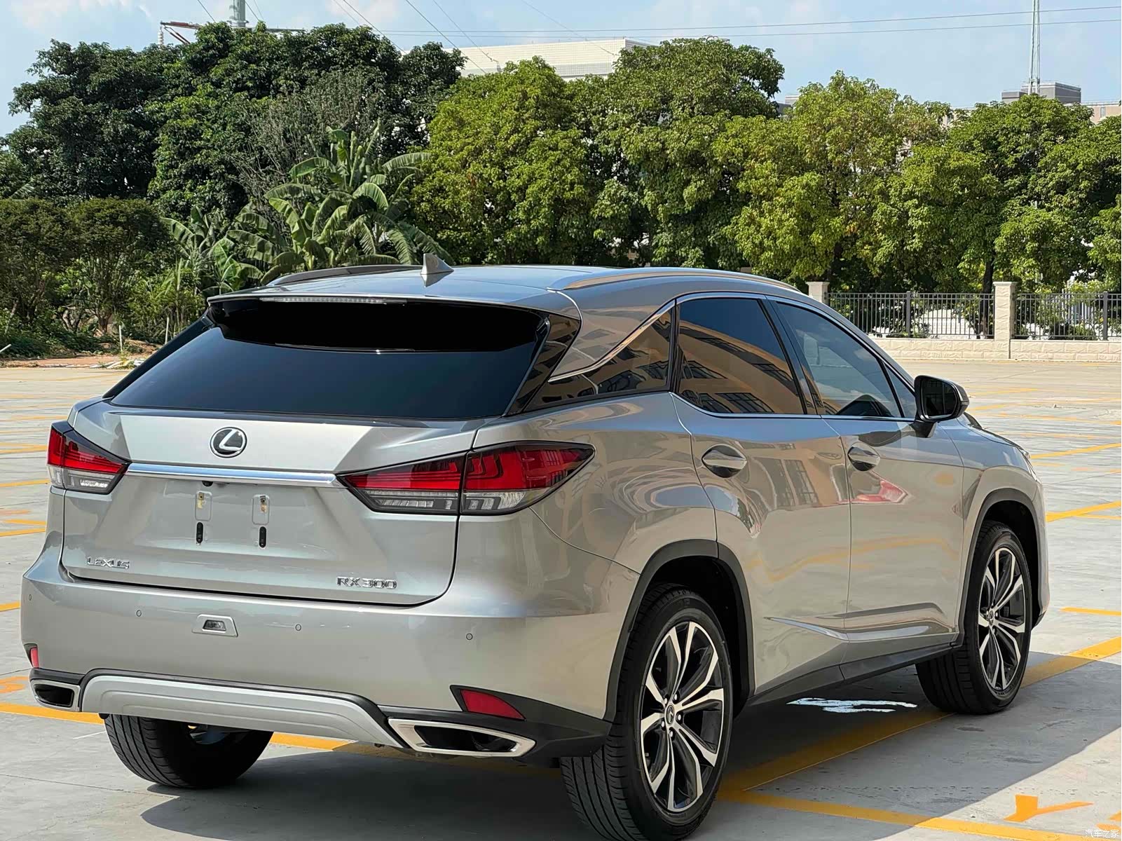 Lexus RX, 2023 8