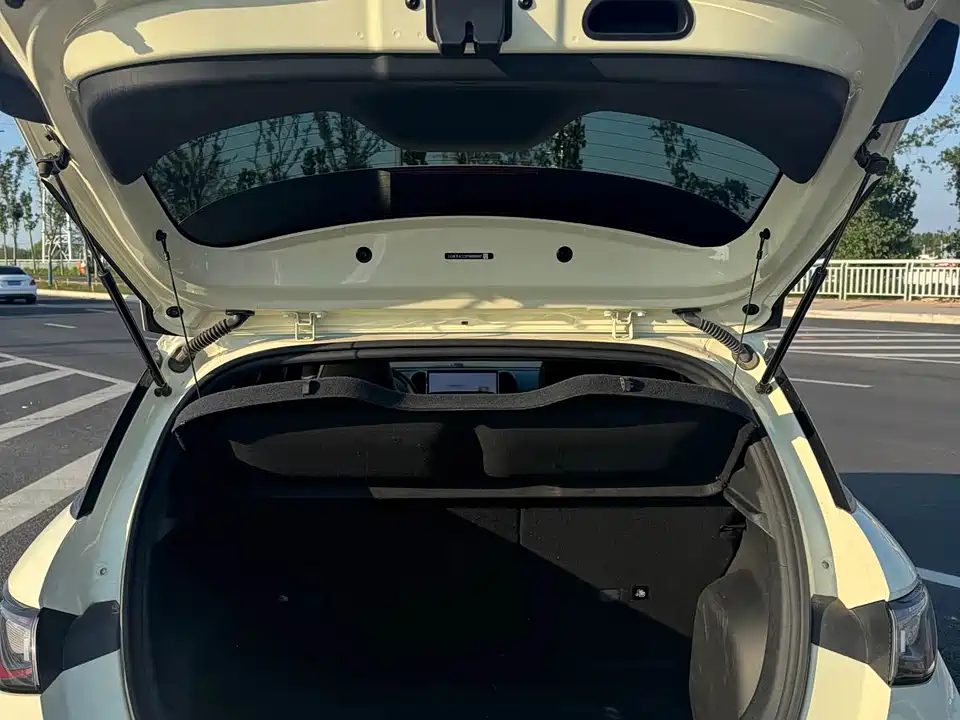 BYD dolphin BYD dolphin