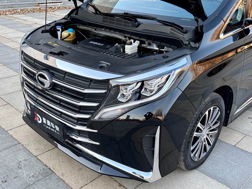 Trumpchi Trumpchi M8