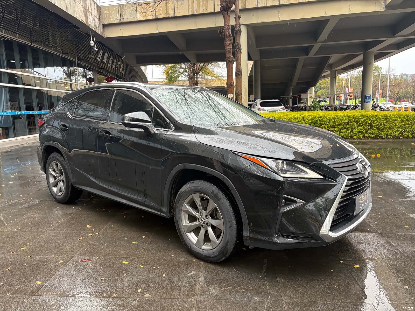 Lexus RX, 2019 2
