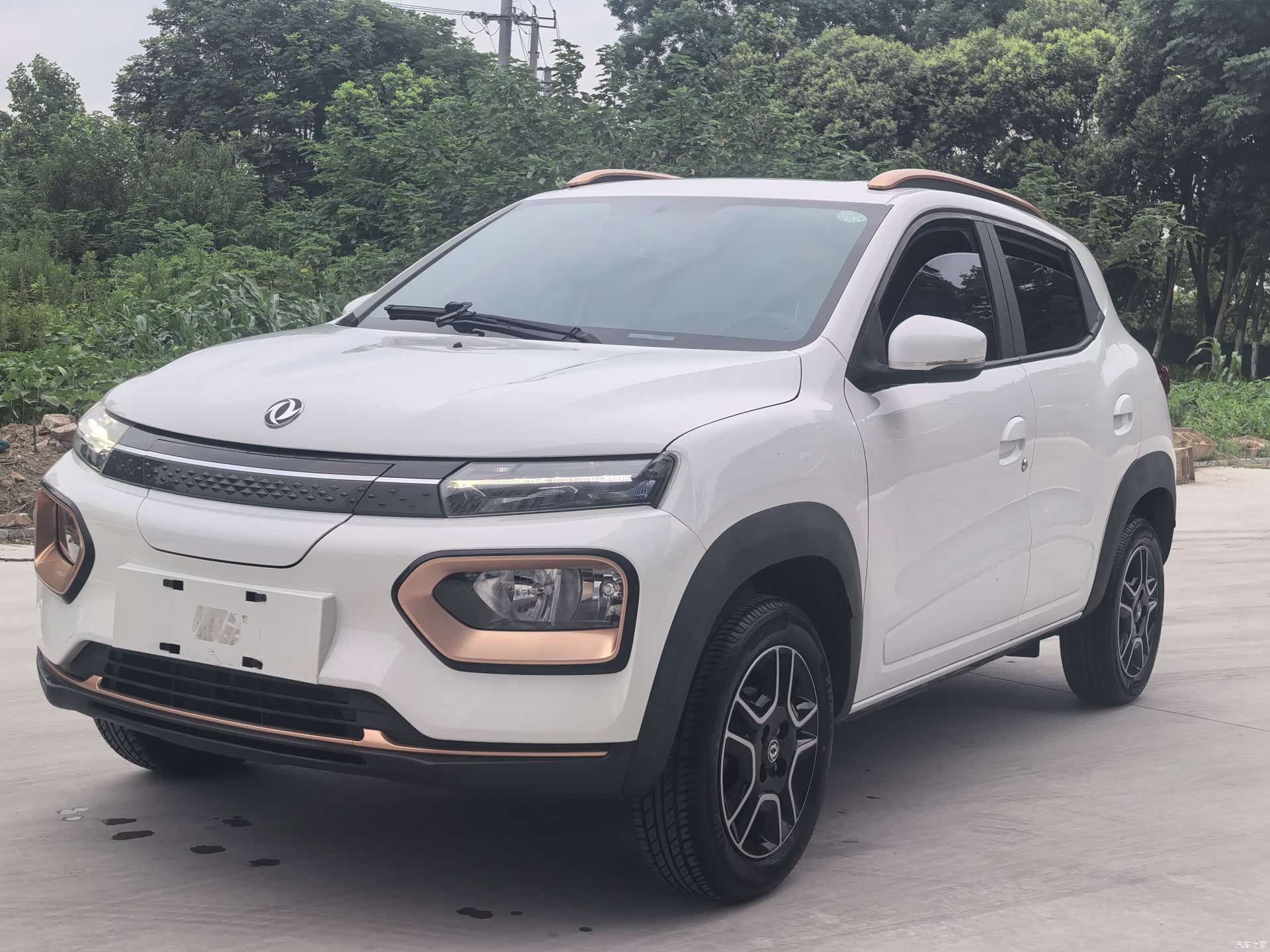 DongFeng EX1, 2022 1