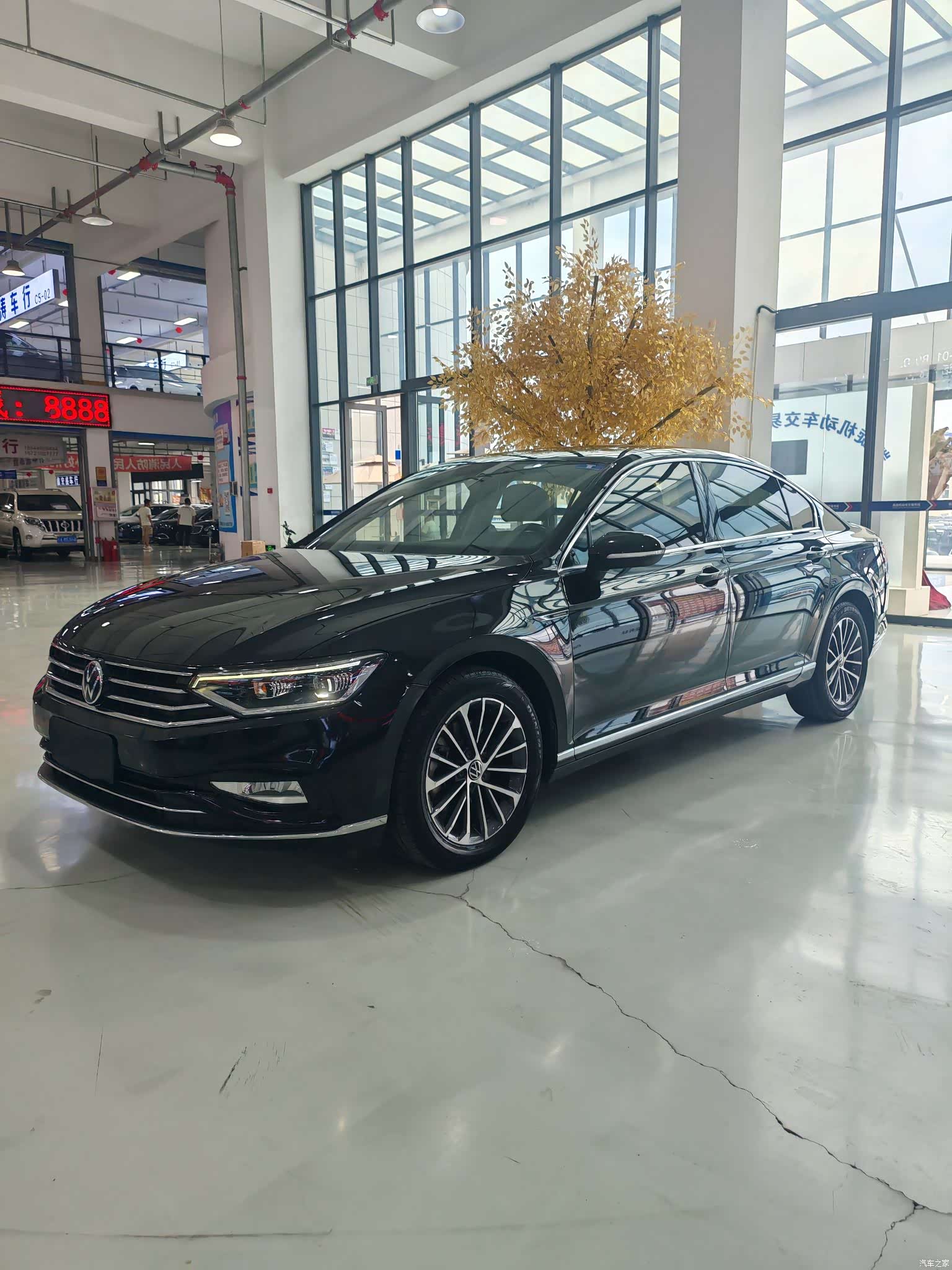 Volkswagen Magotan, 2021 1