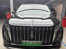 ����HS7 2024�� 2.0T �Զ����������� ����