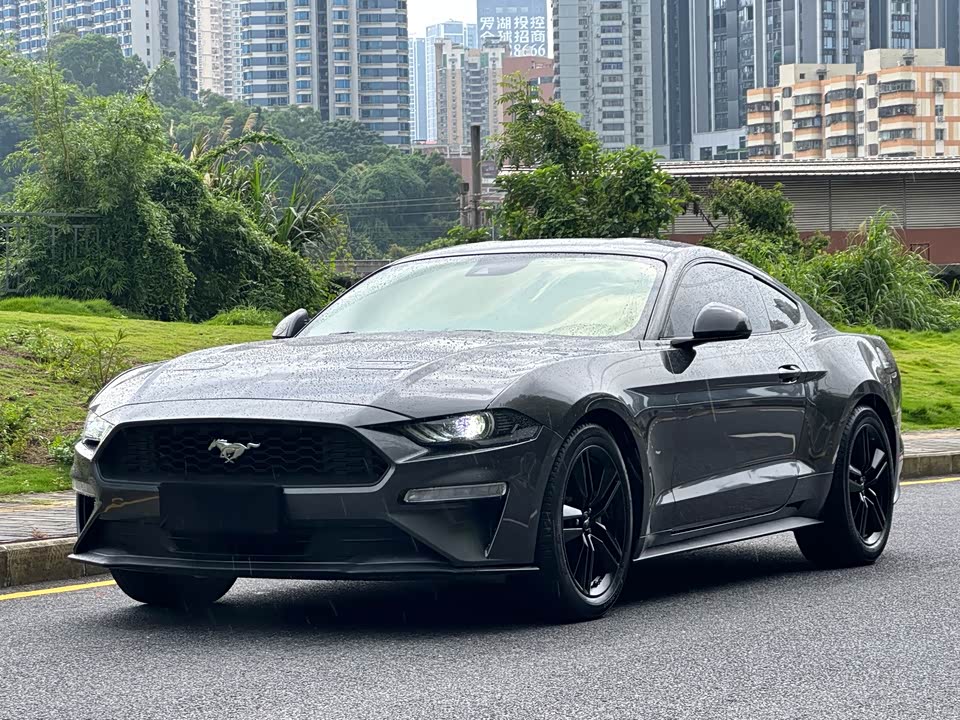 Ford Mustang Ford Mustang