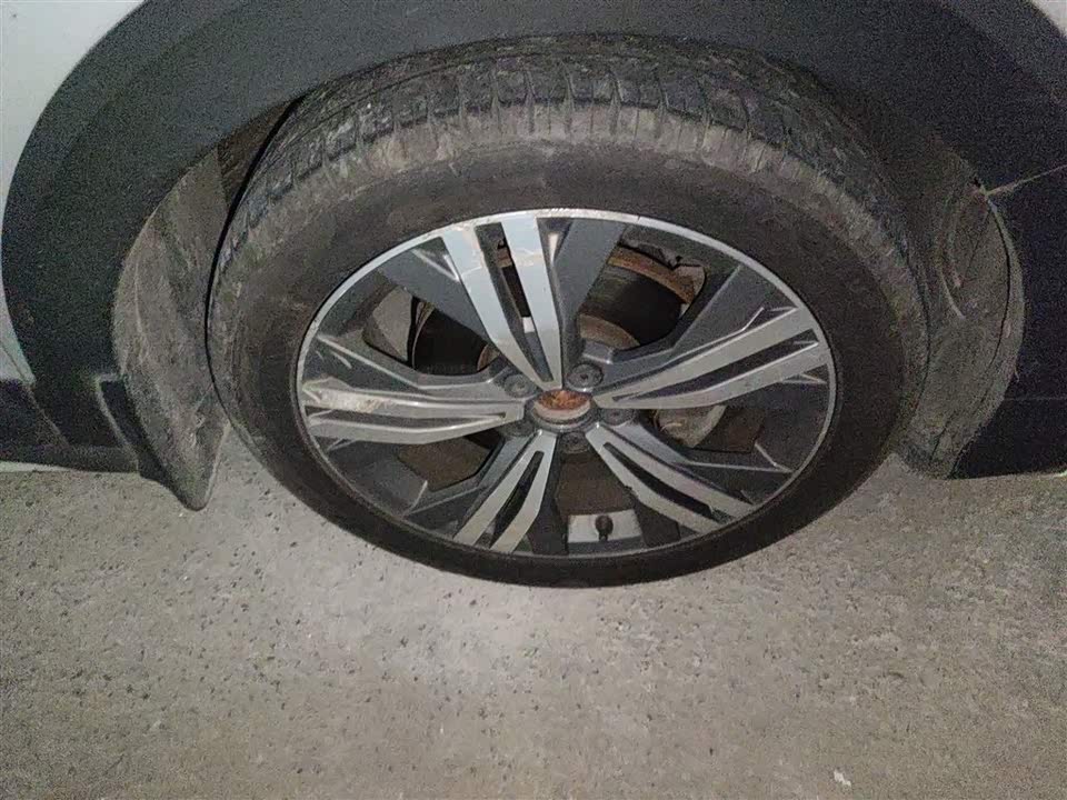 Volkswagen C-TREK Wei Collar