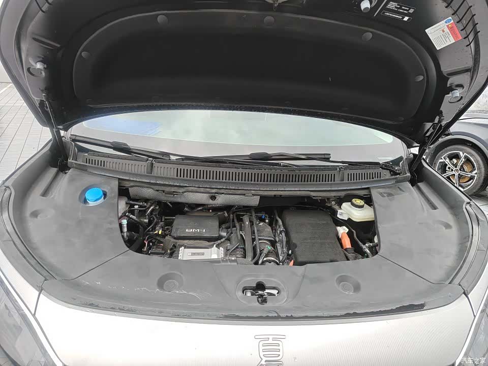 BYD Xia, 2025 11