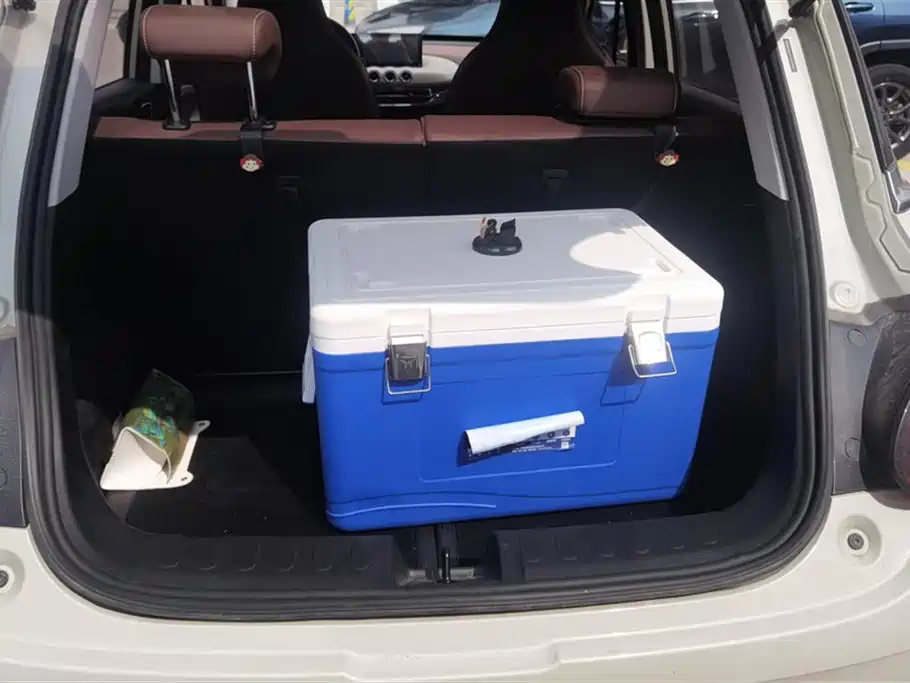 Wuling Wuling Bingguo