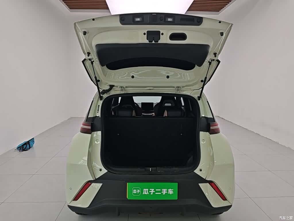 BYD Seagull, 2024 19