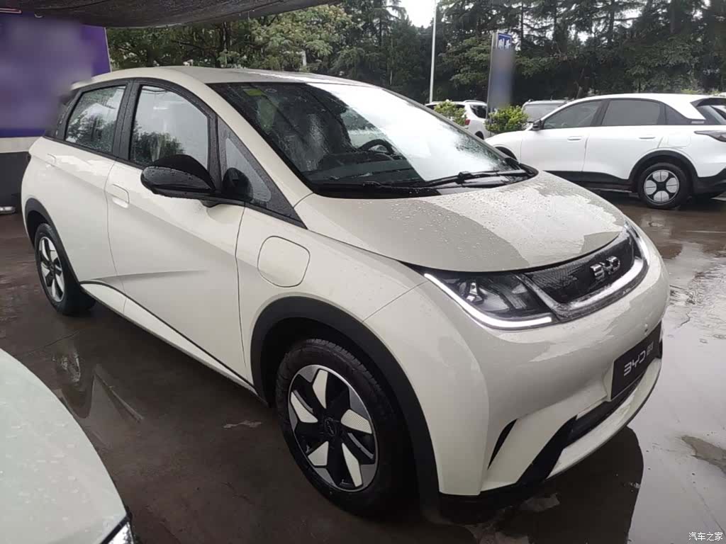 BYD Dolphin, 2026 4