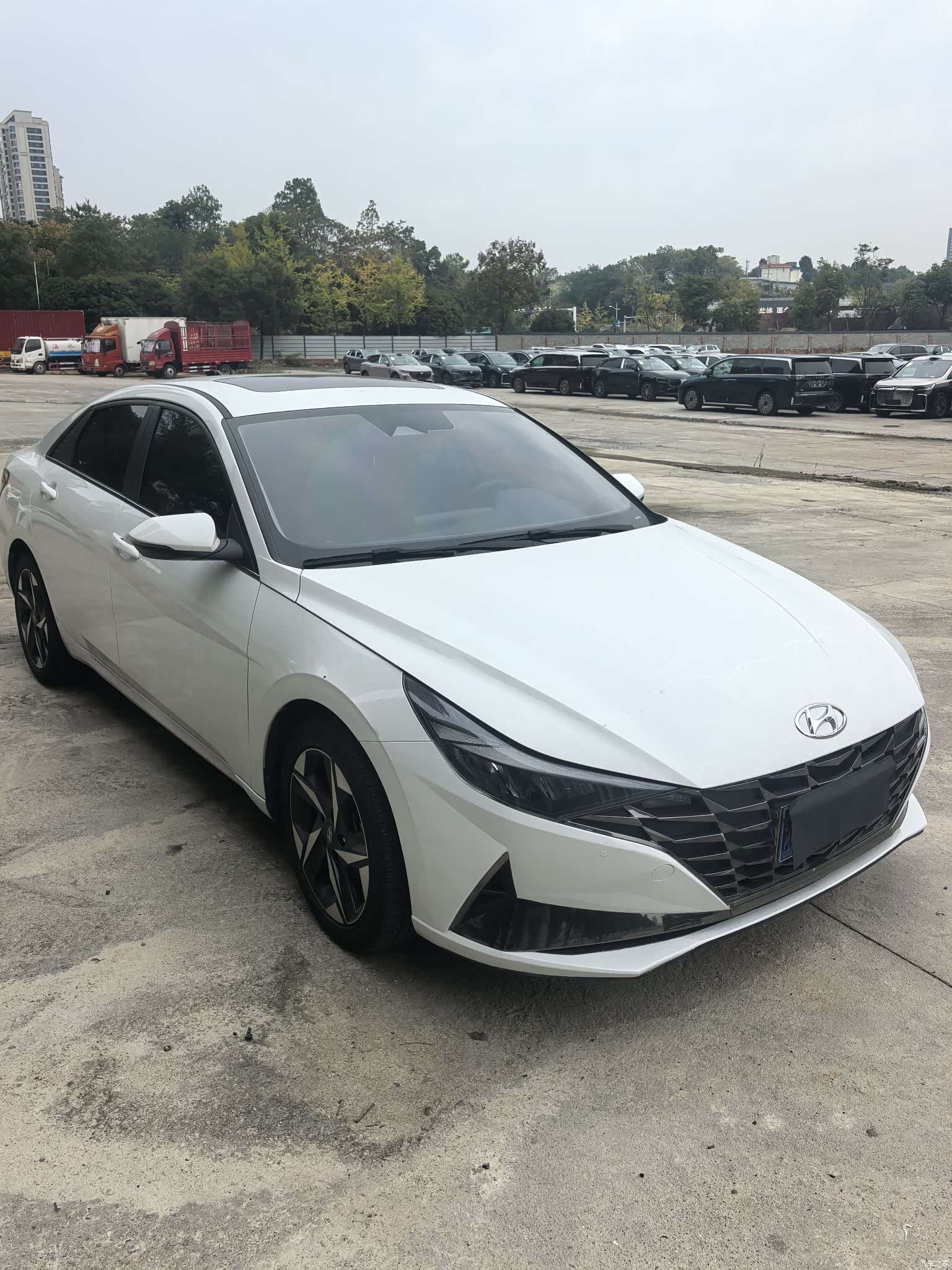 Hyundai Elantra, 2023 3