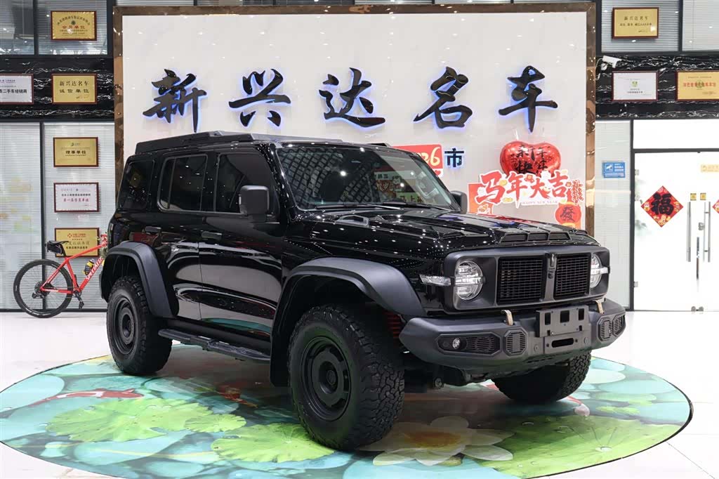 Tank 300, 2024 3