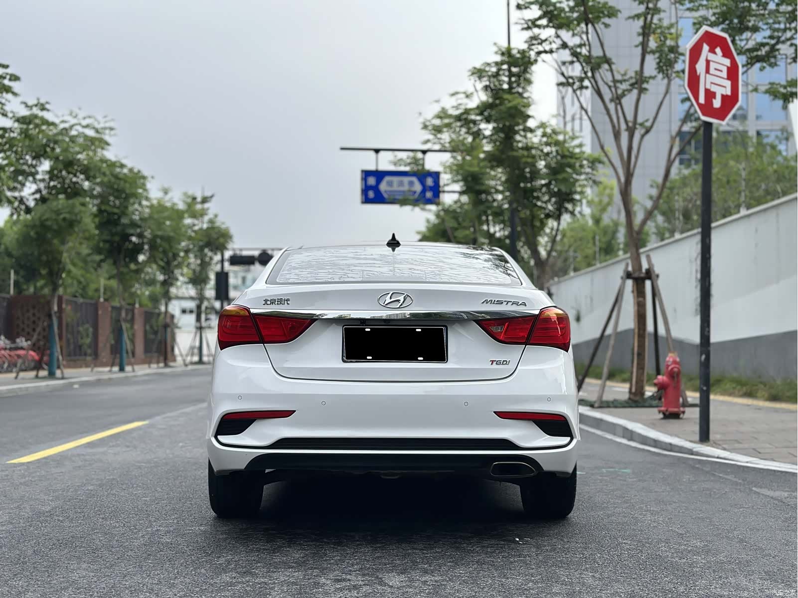 Hyundai GLS, 2017 6