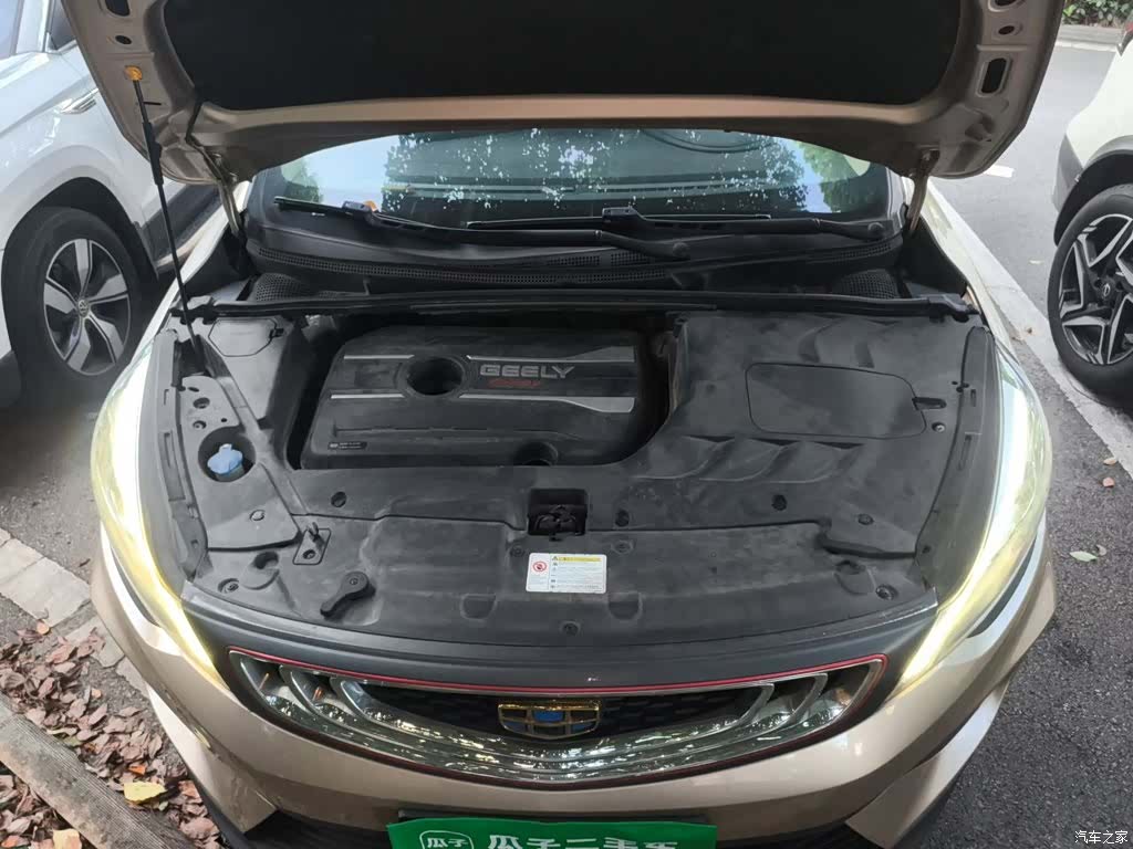 Geely Emgrand, 2019 17