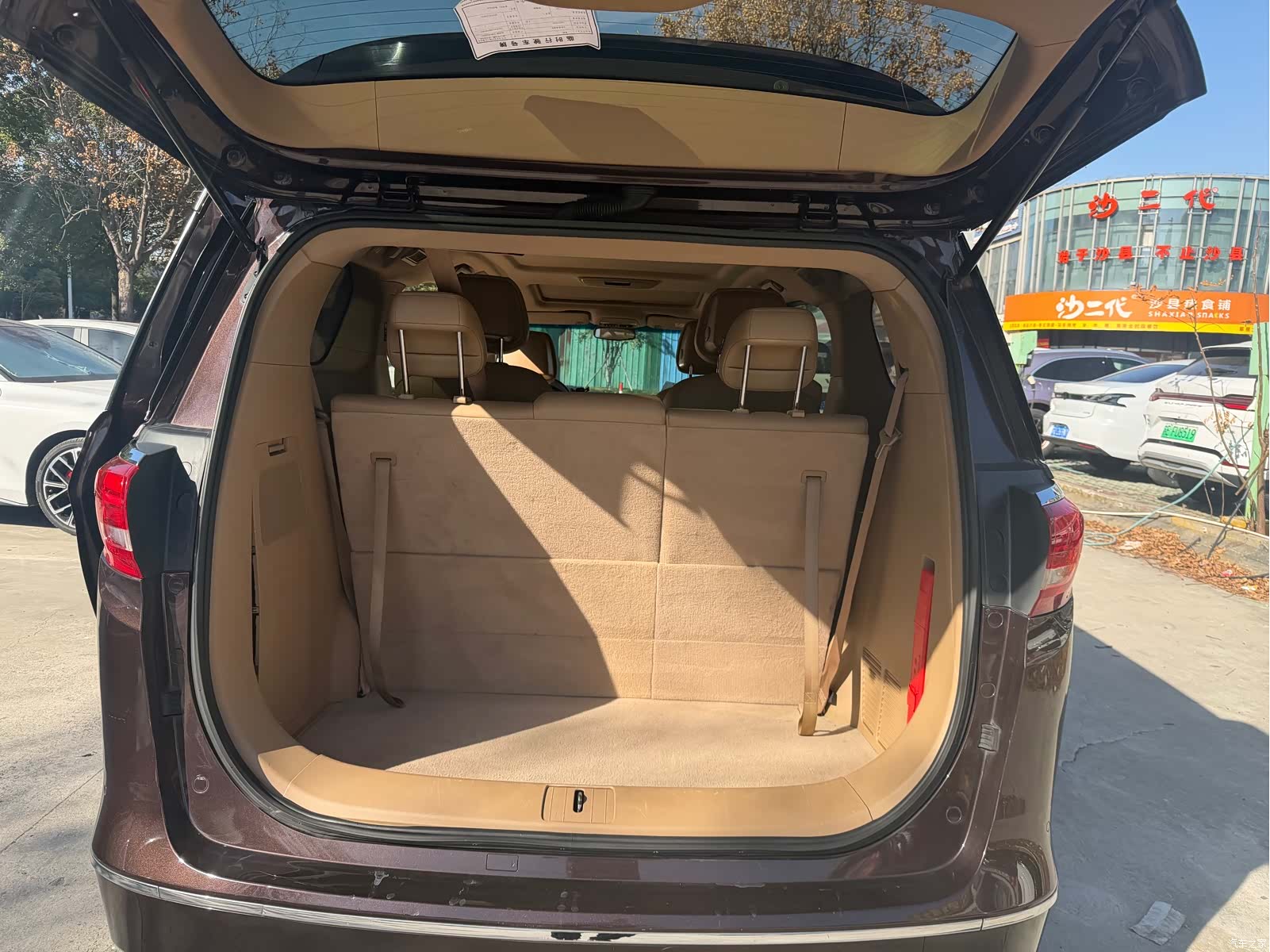 Buick GL8, 2019 6