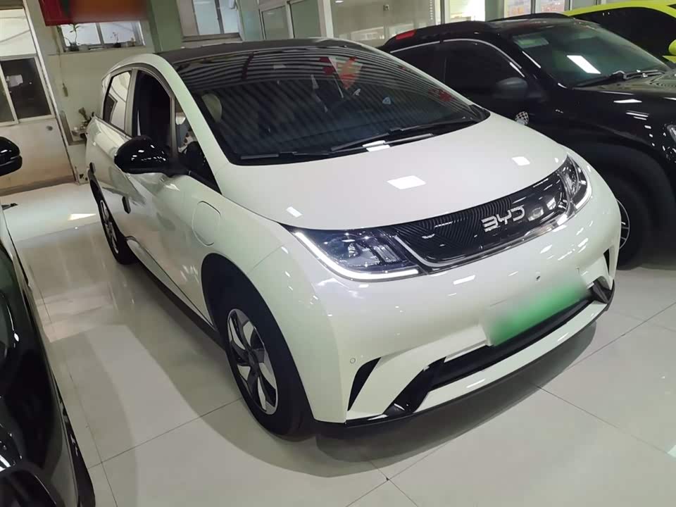 BYD dolphin
