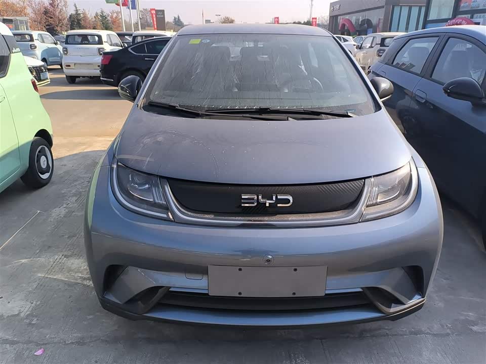 BYD dolphin