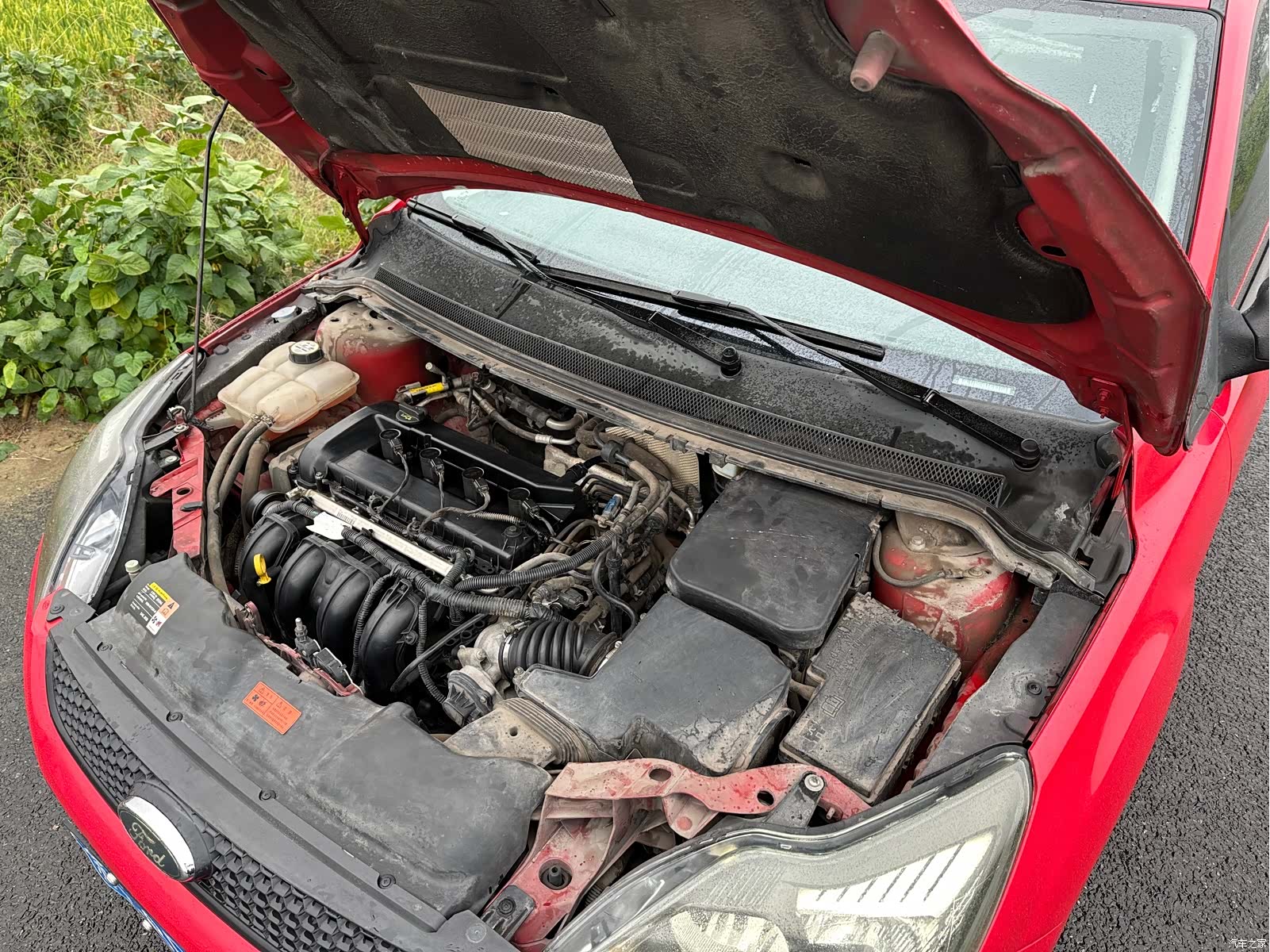 Ford Focus, 2015 14