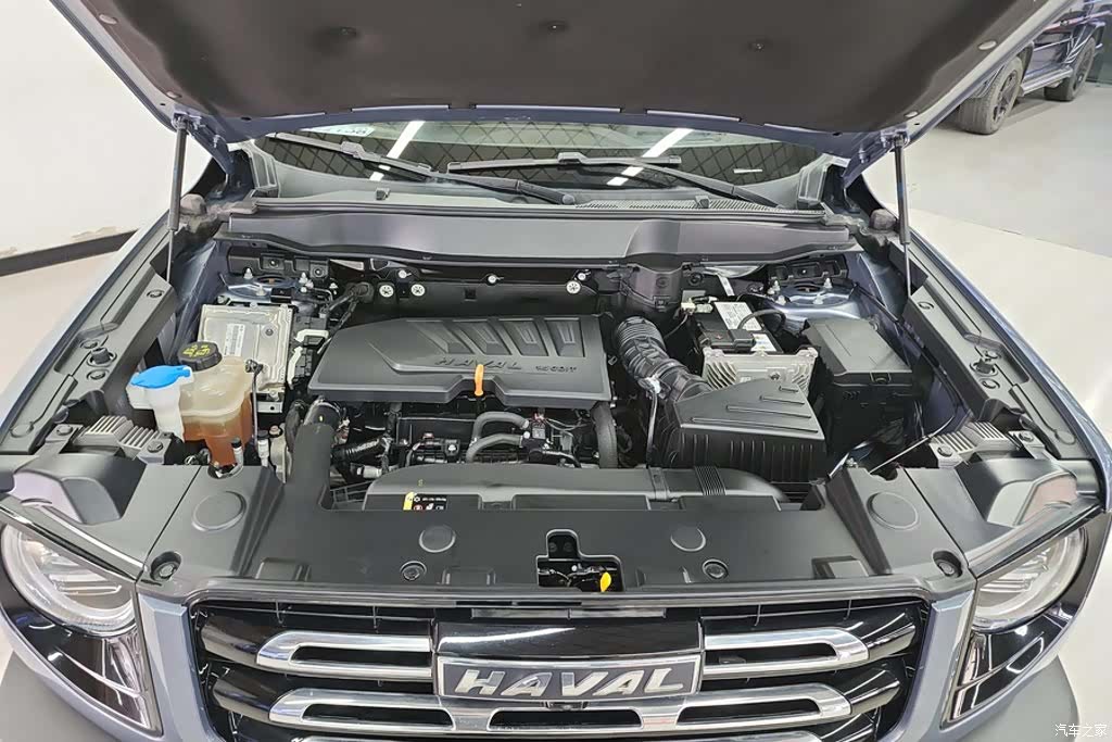 Haval Big Dog, 2021 10