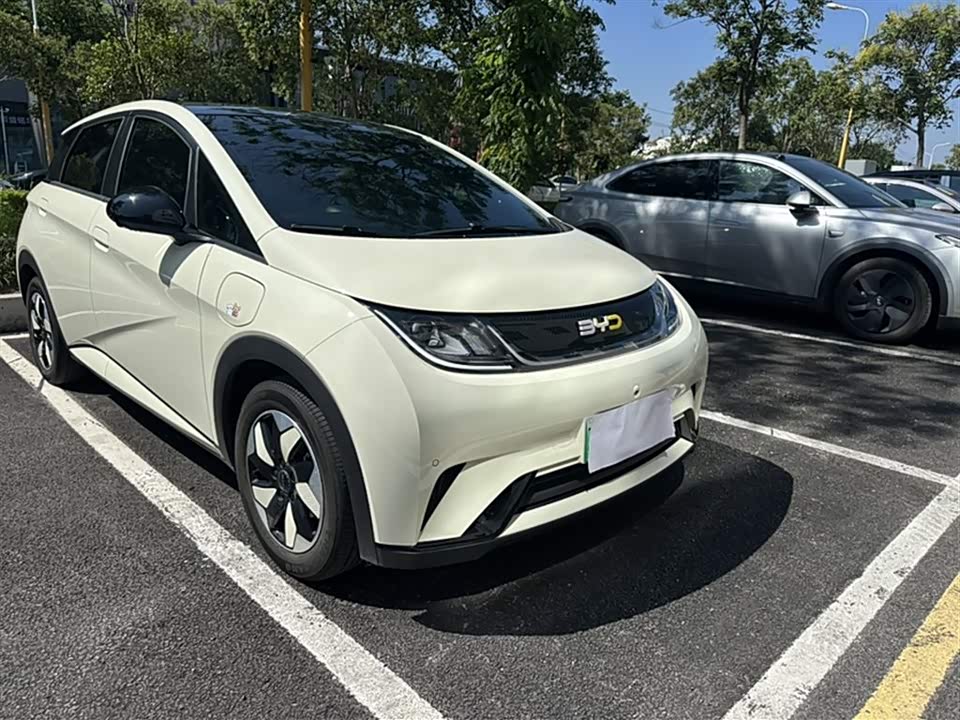 BYD dolphin