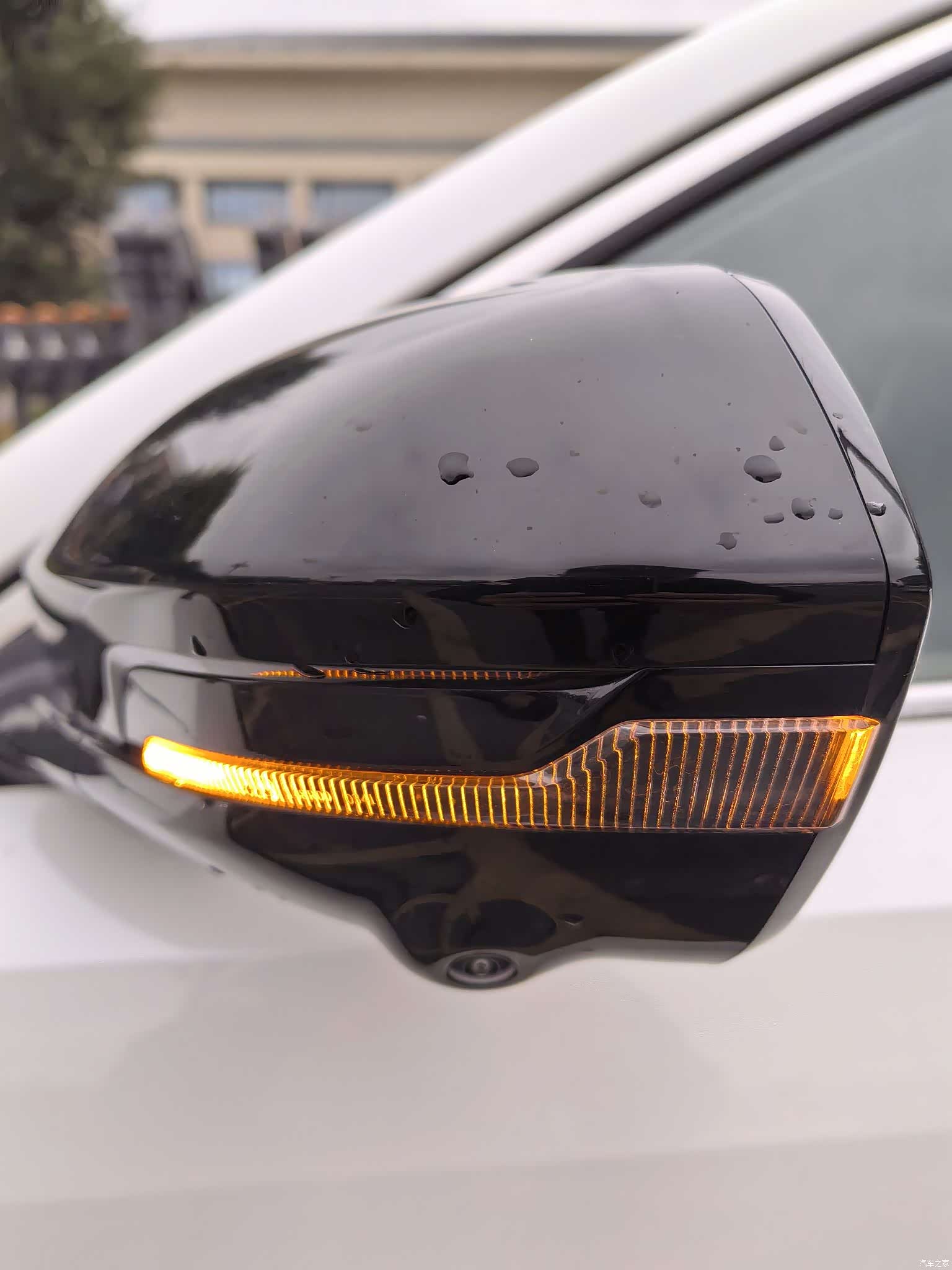 Changan Eado, 2025 все фото