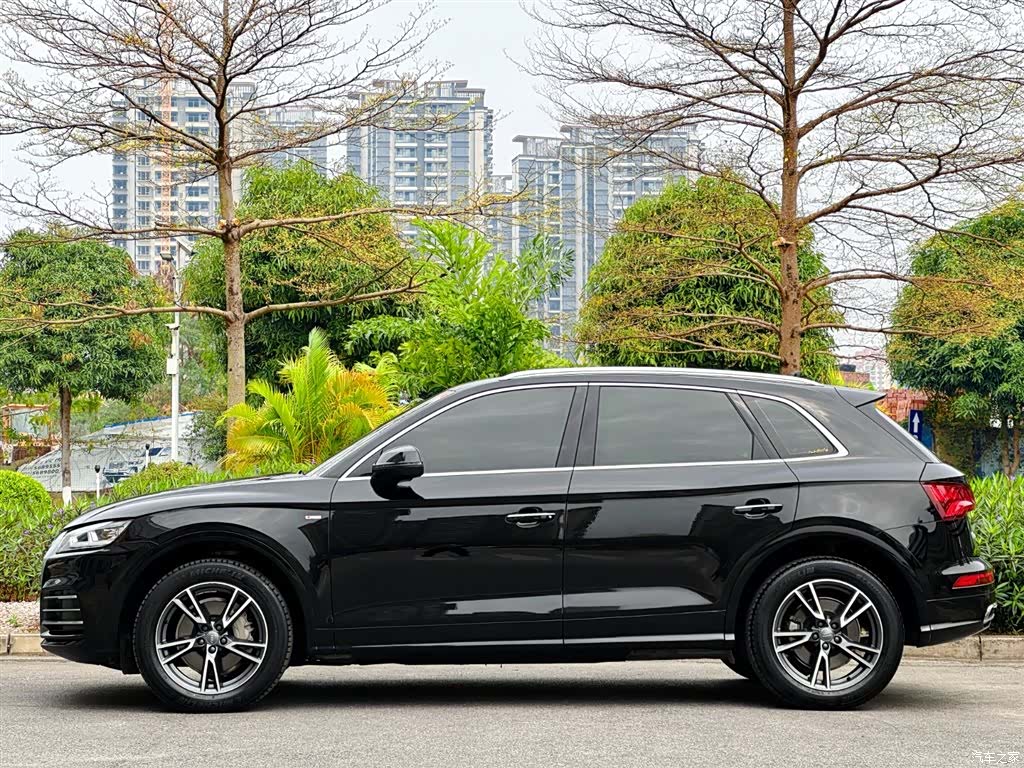 Audi Q5L, 2019 все фото