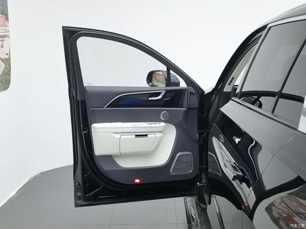 Hongqi E-HS9, 2022 8