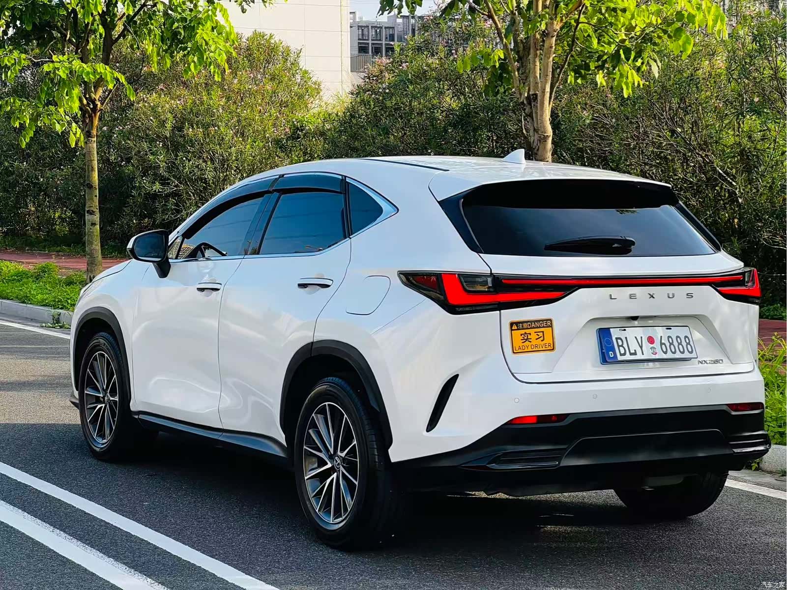 Lexus NX, 2024 все фото