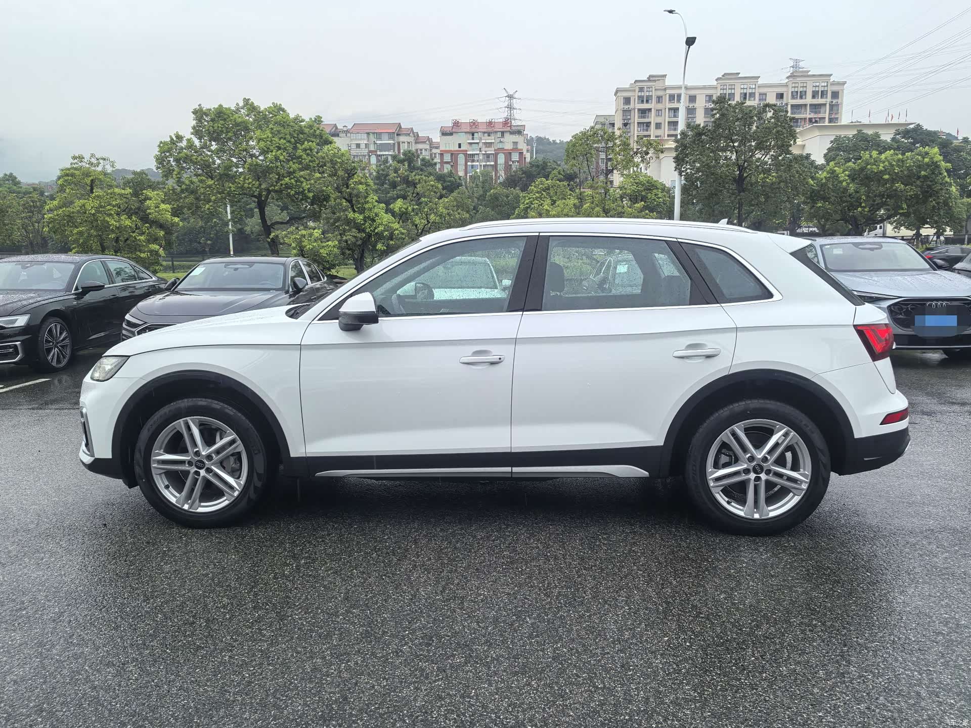 Audi Q5L, 2023 все фото