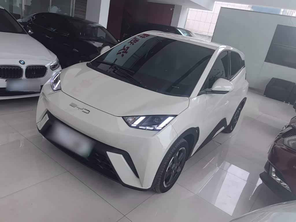 BYD Seagull