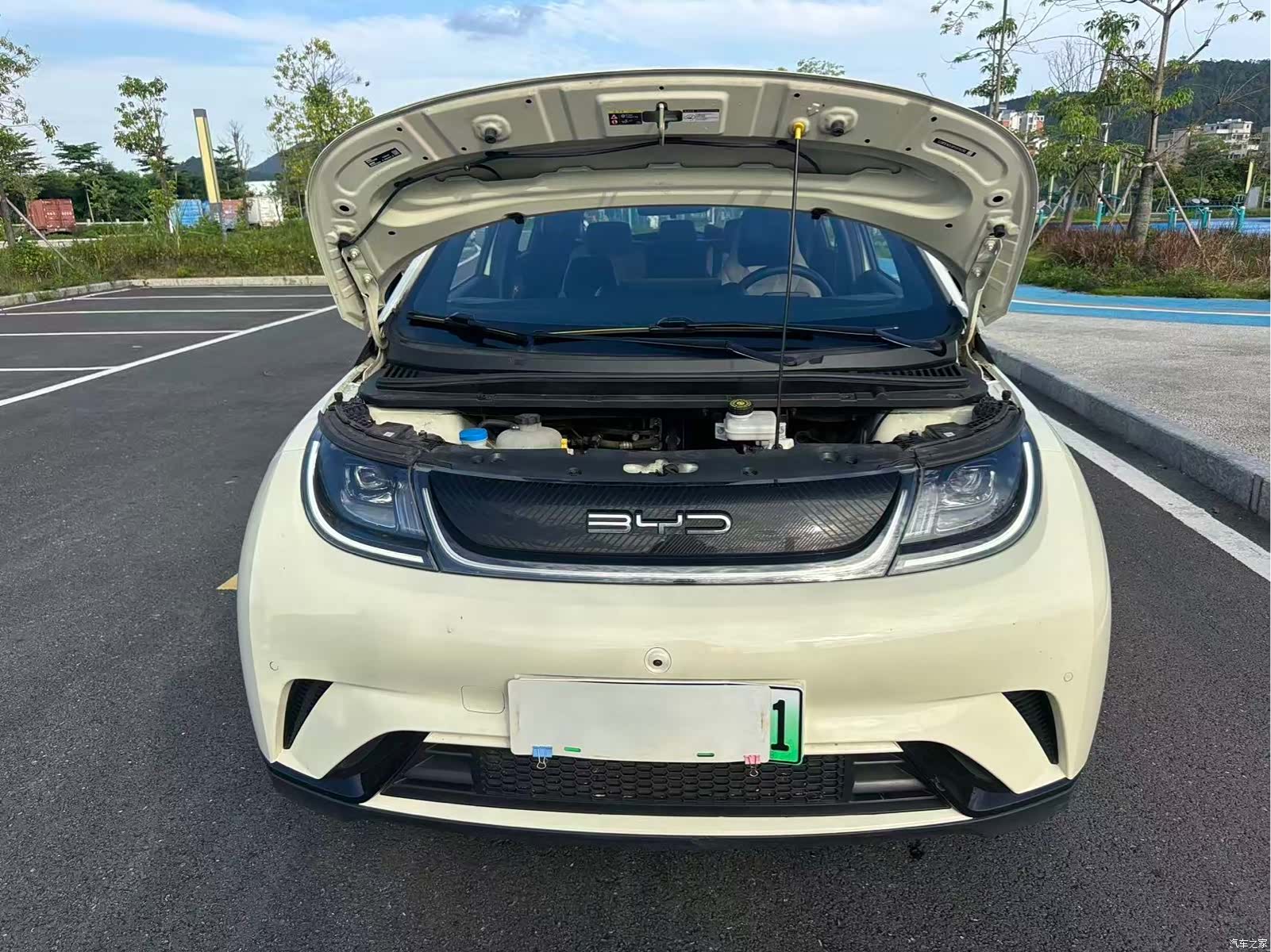 BYD Dolphin, 2024 18