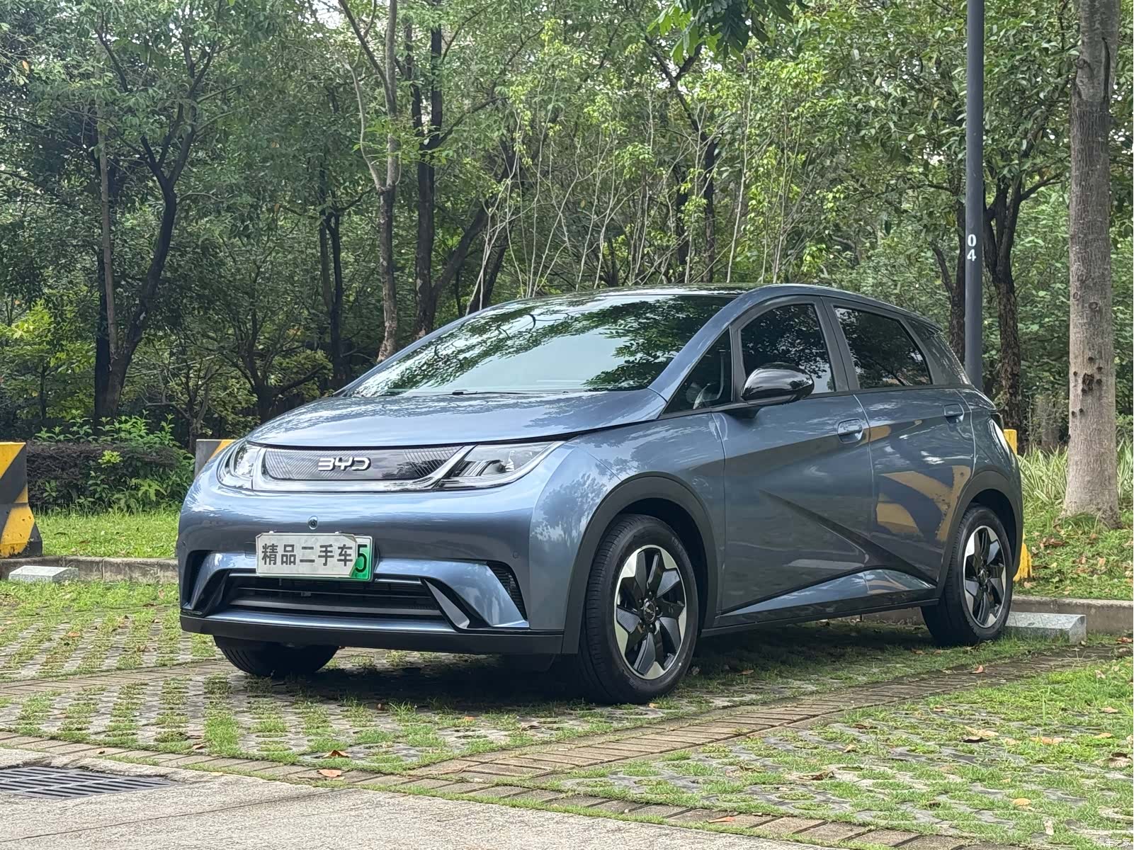 BYD Dolphin