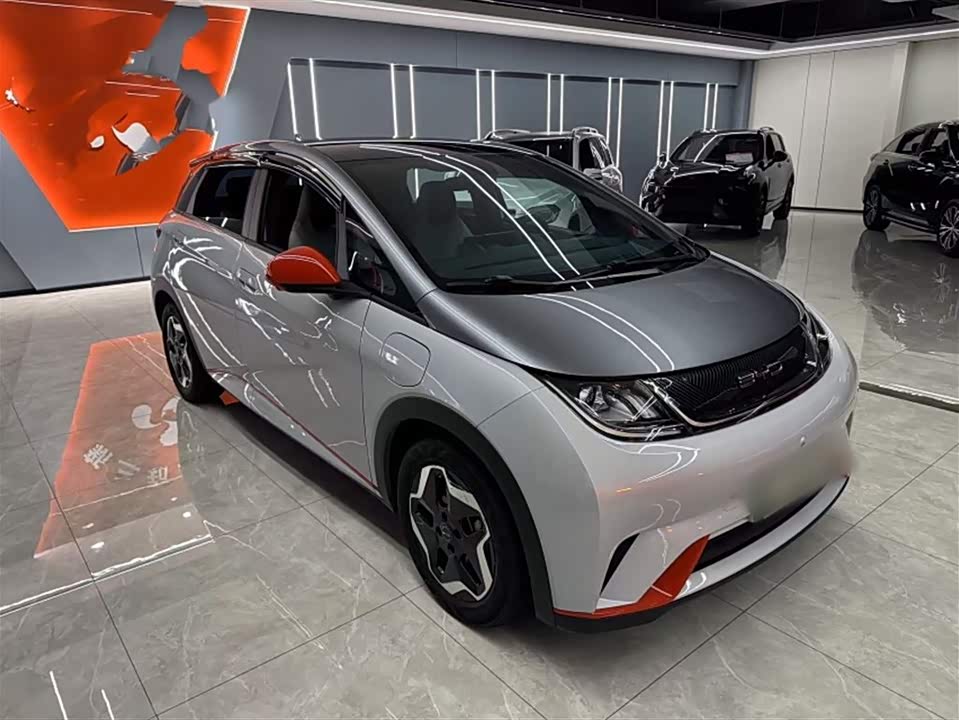 BYD dolphin