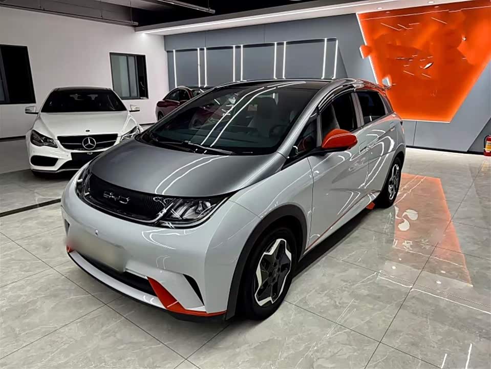 BYD dolphin