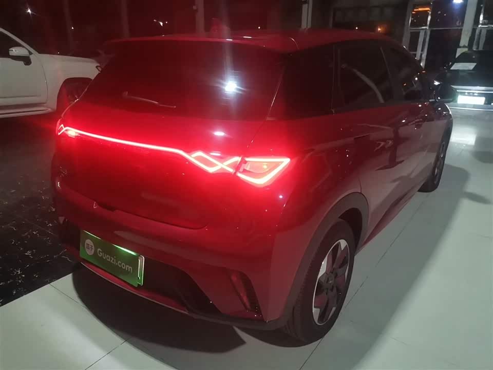 BYD dolphin