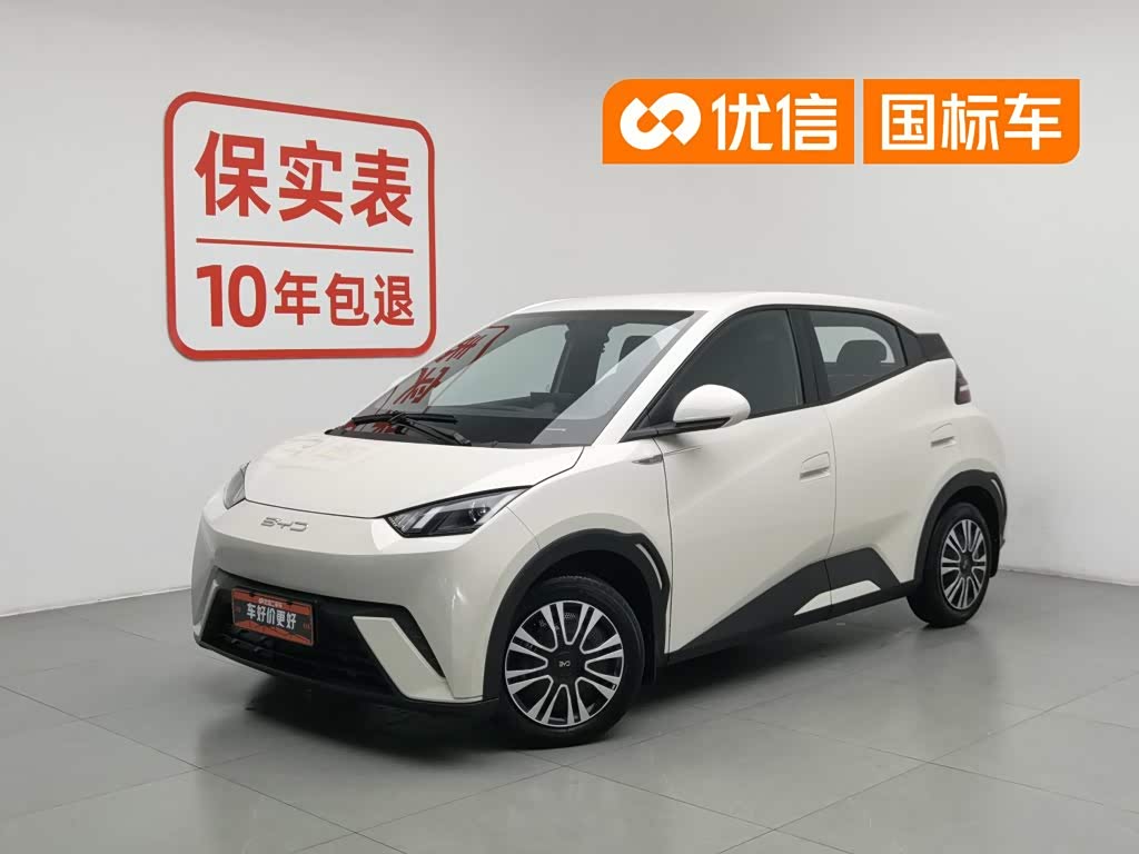 BYD Seagull