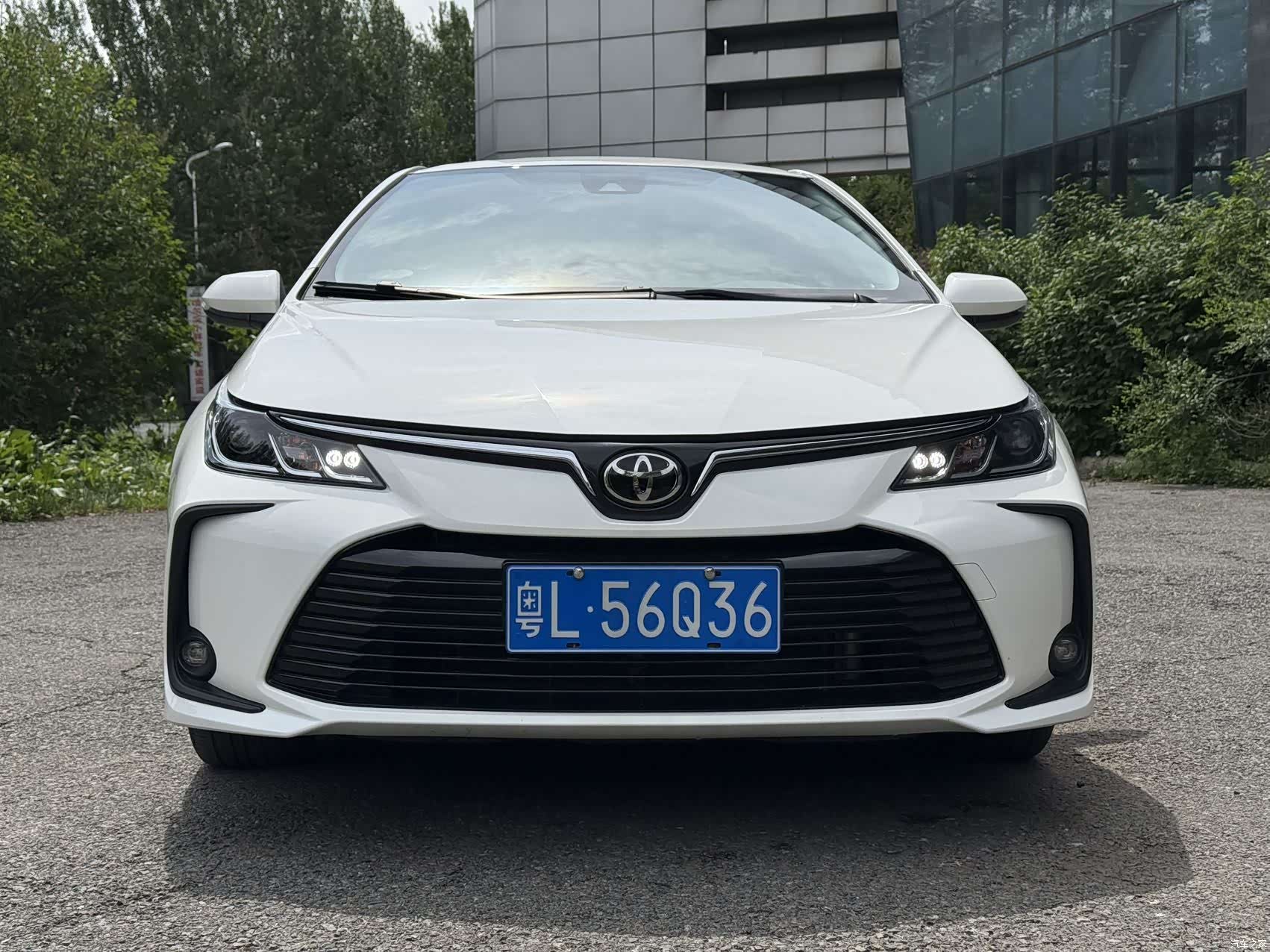 Toyota Corolla, 2024 2