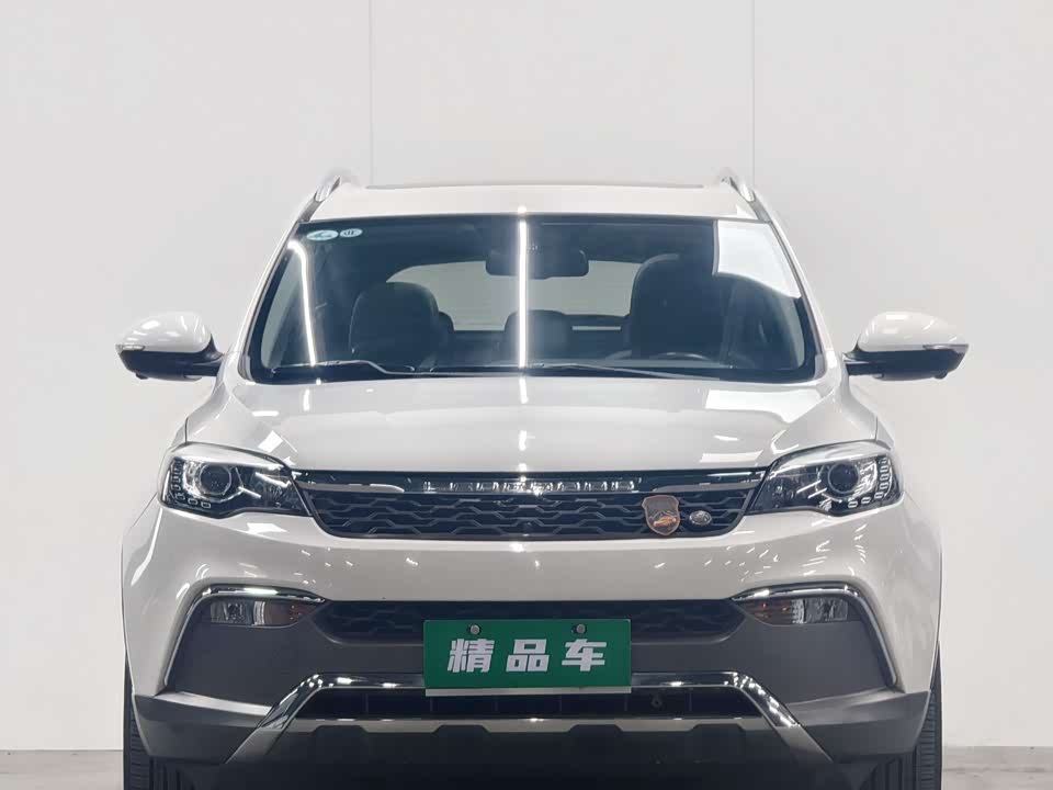 Leopaard Cheetah CS10