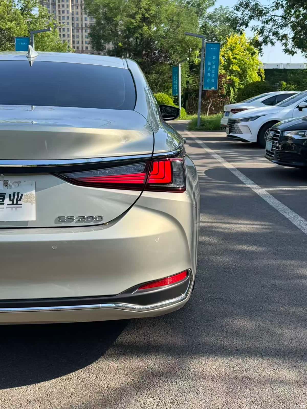 Lexus ES, 2019 15