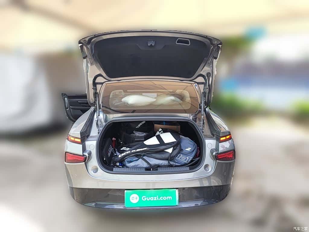 Xpeng P7, 2021 10