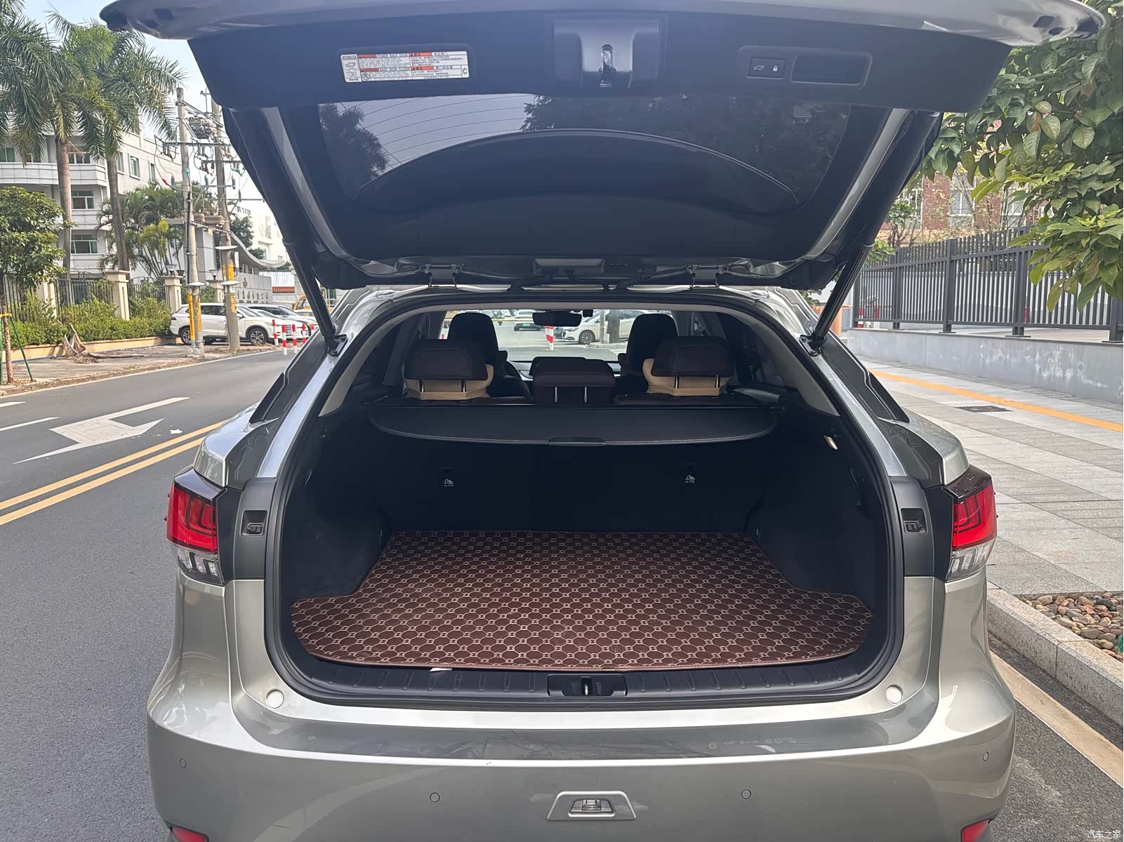 Lexus RX, 2020 9