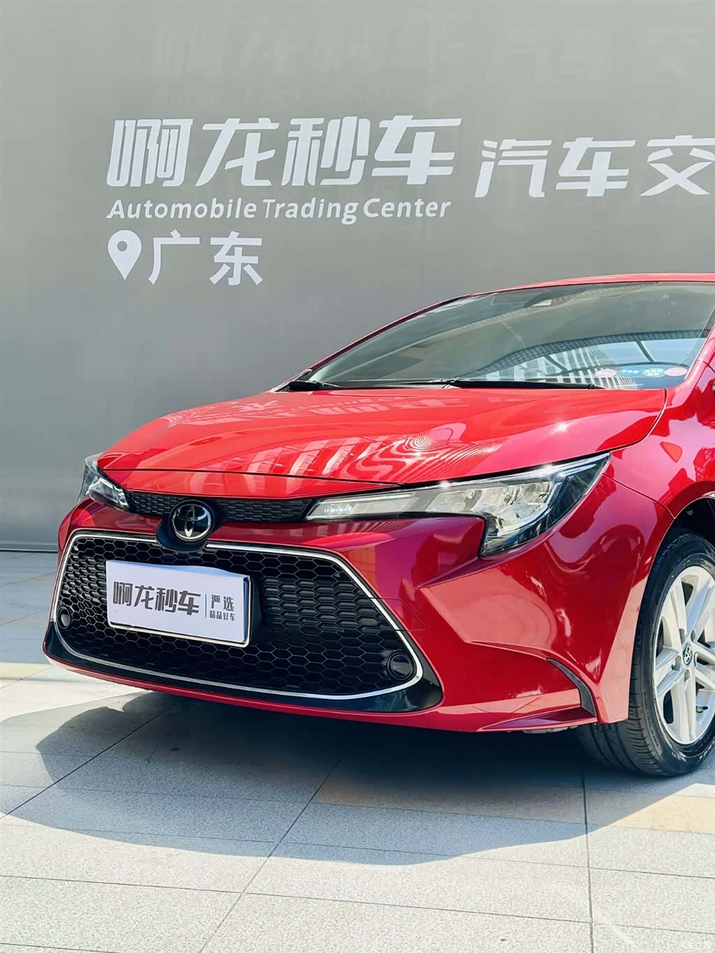 Toyota Levin, 2021 19