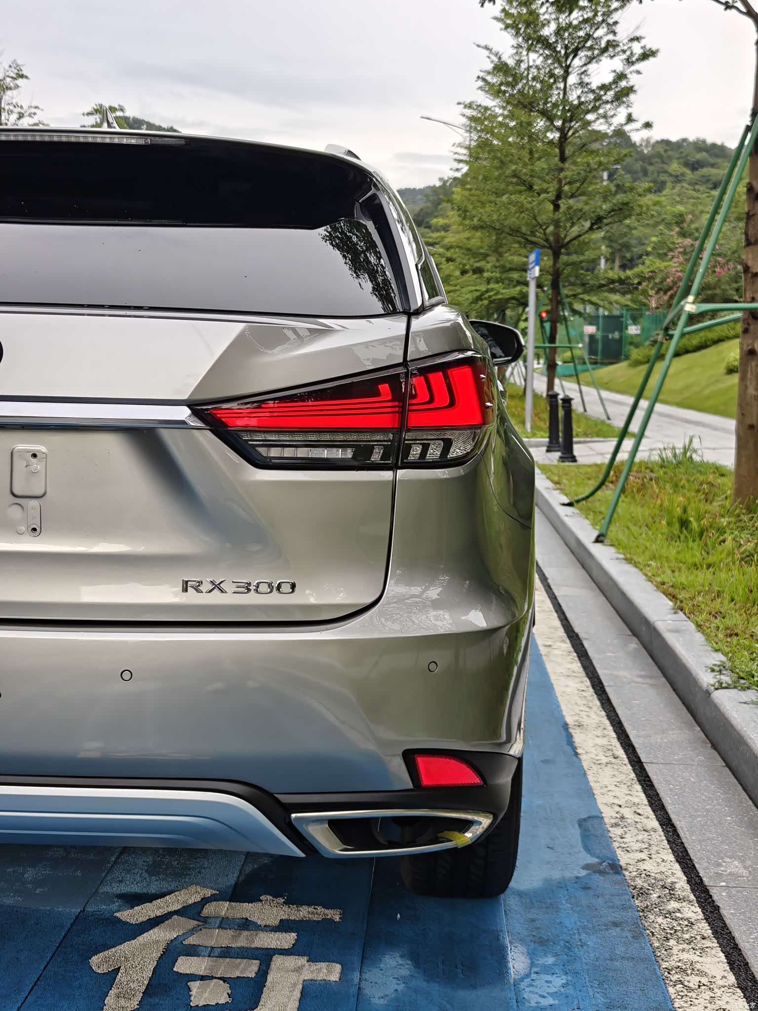 Lexus RX, 2021 23