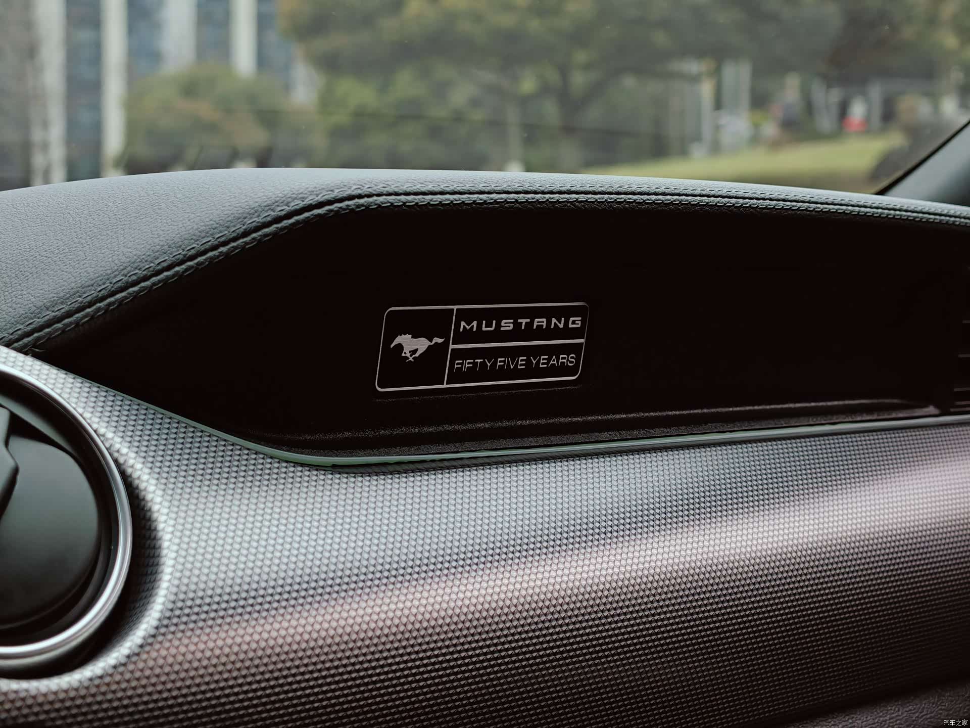 Ford Mustang, 2022 19