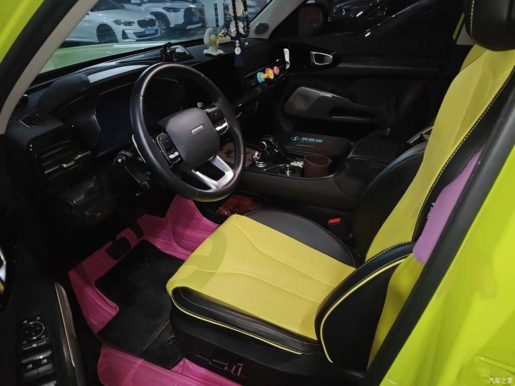 Haval Cool Dog, 2023 8