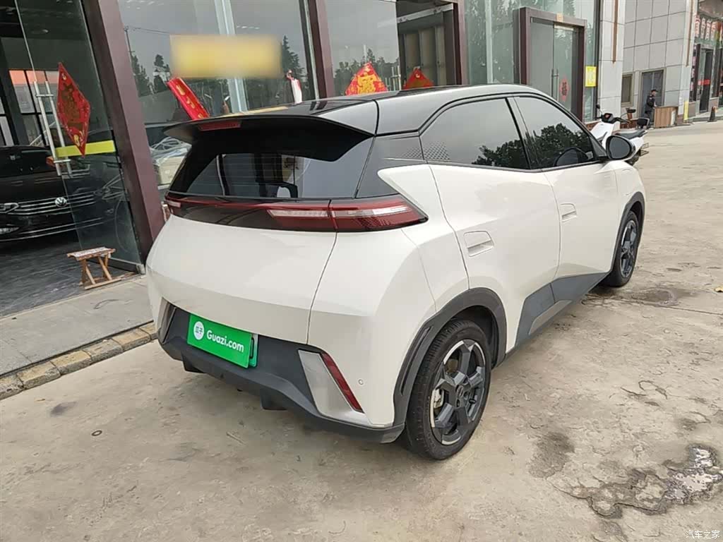 BYD Seagull, 2024 7