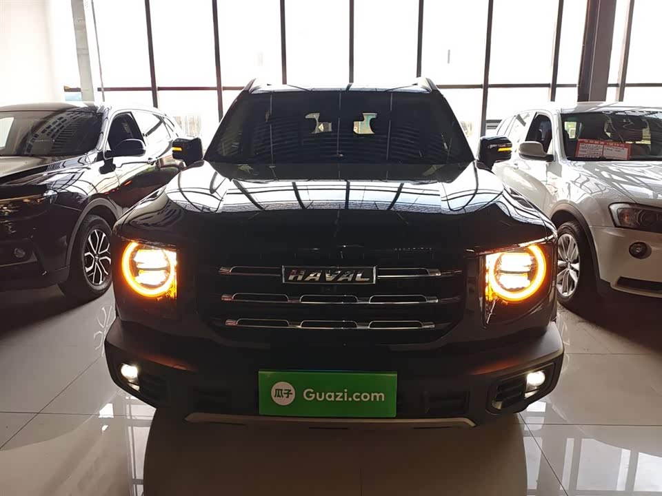 Haval Big dog