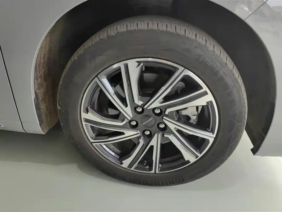 MAXUS Chase G90