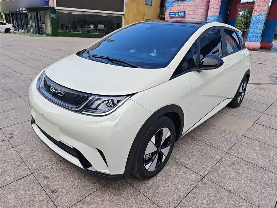 BYD dolphin